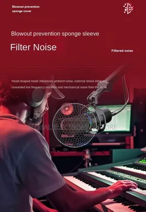 Dynamic Microphone Usb and XLR With Cantilver Stand