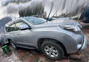 Toyota Land Cruiser 2015 Silver