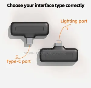 Wireless Microphone With Charging Case – Type-C (1:1)
