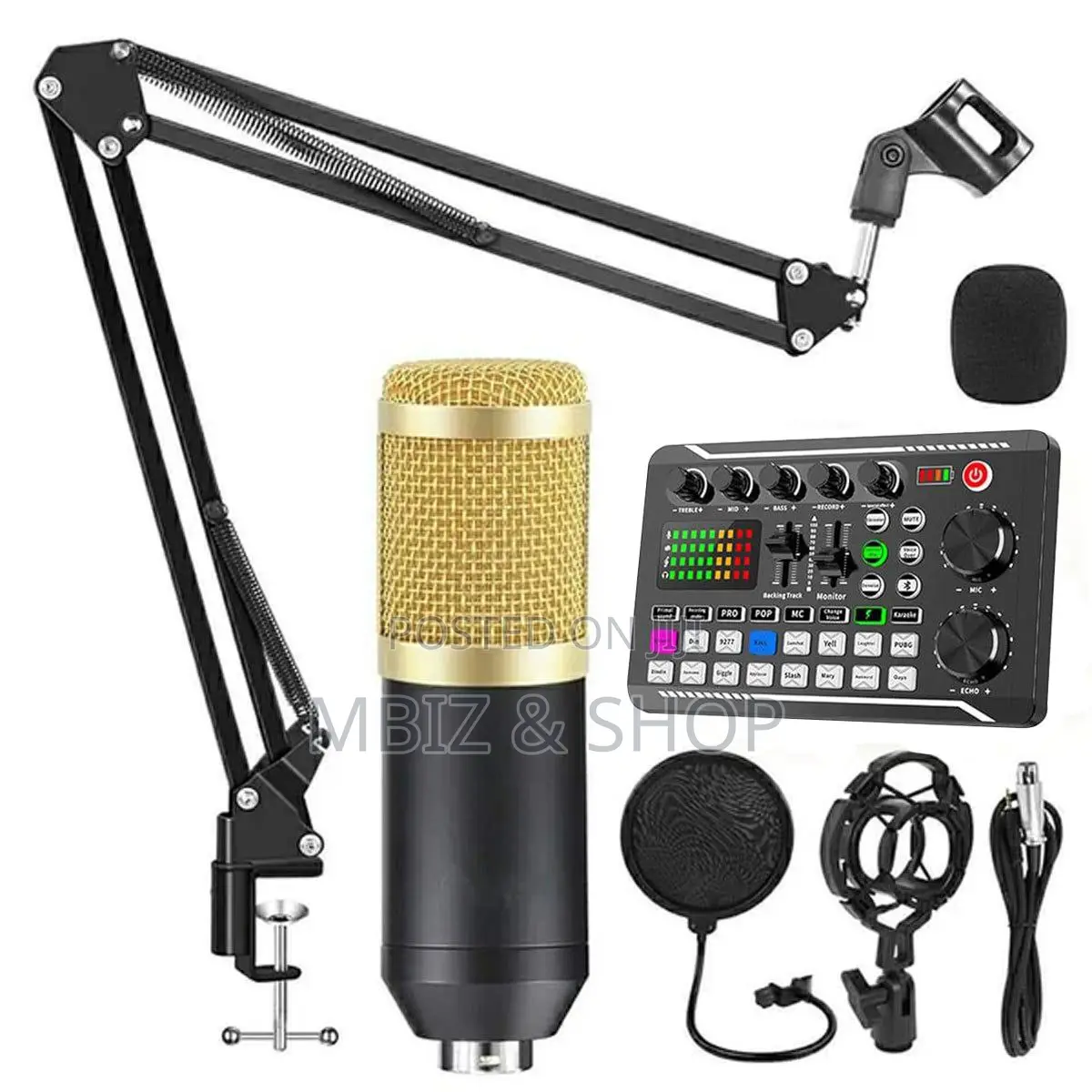 Professional Condenser Microphone