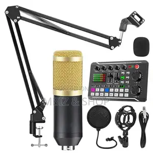 Photo - Professional Condenser Microphone