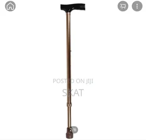 Photo - Walking Cane