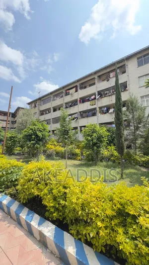 Furnished 2bdrm Condo in ቱሉ ዲምቱ, Akaky Kaliti for sale