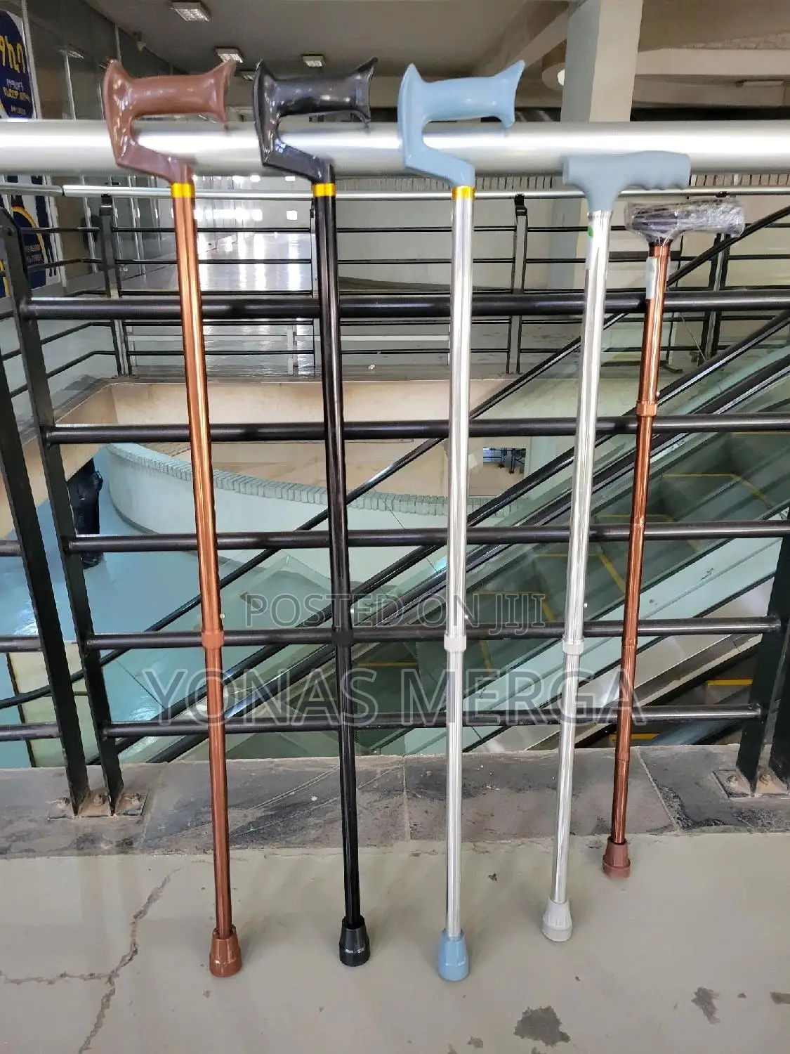 Walking Stick嘴صour Newest and Best Selling Walking Sticks