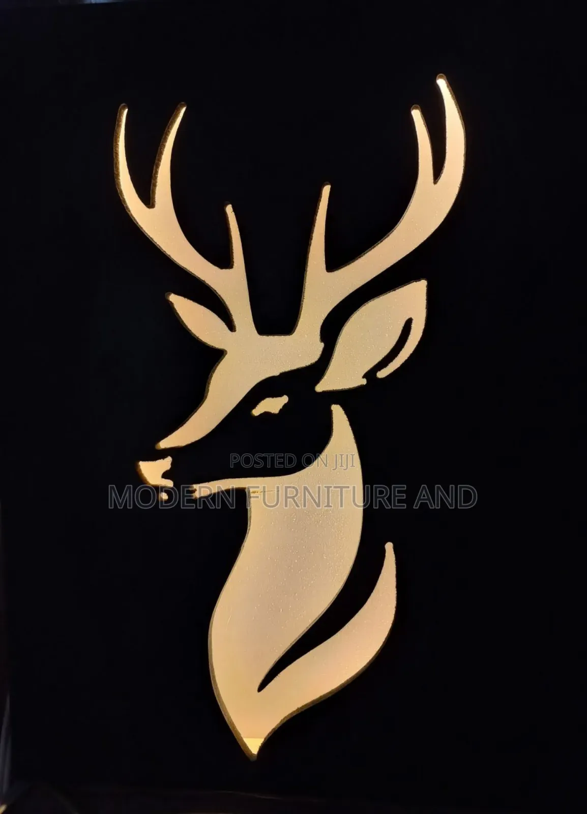 Decorative Light Ornaments