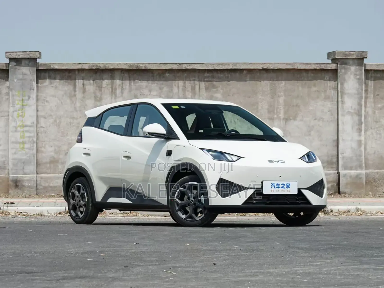 New BYD Seagull 2025 White