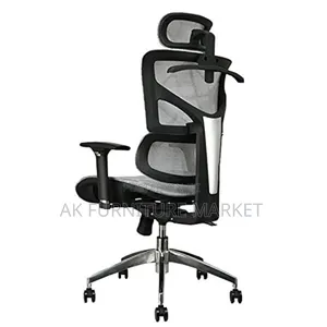 Lxuer and Modern Ergonomic Chair