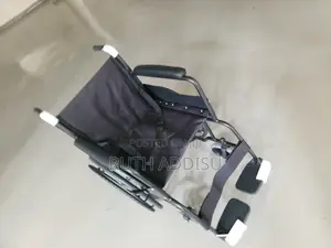 Wheelchair米飯wheelchair與日wheelchair波蘭wheelchair起訴wheelchair