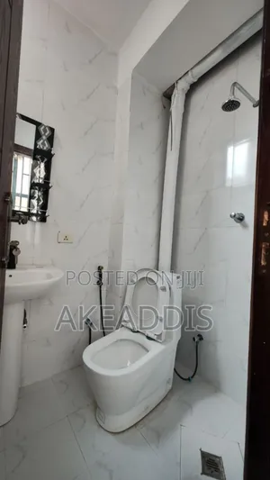 Furnished 2bdrm Condo in Bole Ayat for sale