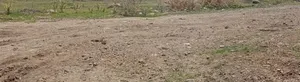 Photo - Land /Plot for Sale የሚሸጥ መሬት