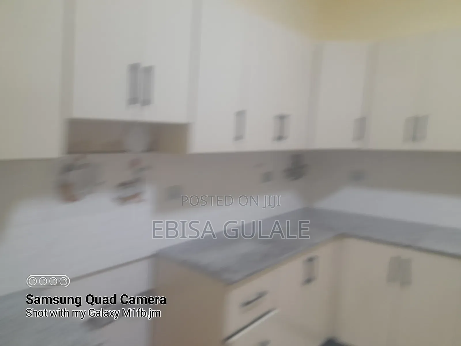 Furnished 4bdrm Farm House in Oromia-Finfinne for rent