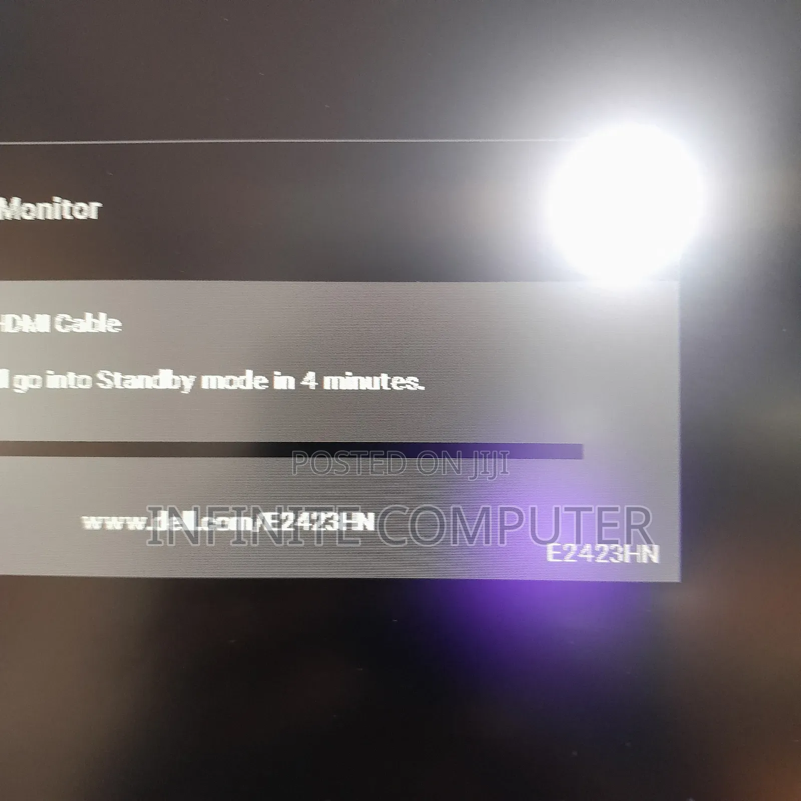 Dell 24 Inch Monitor