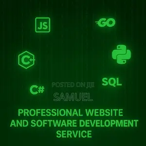 Photo - Professional Website and Software Developoment Services