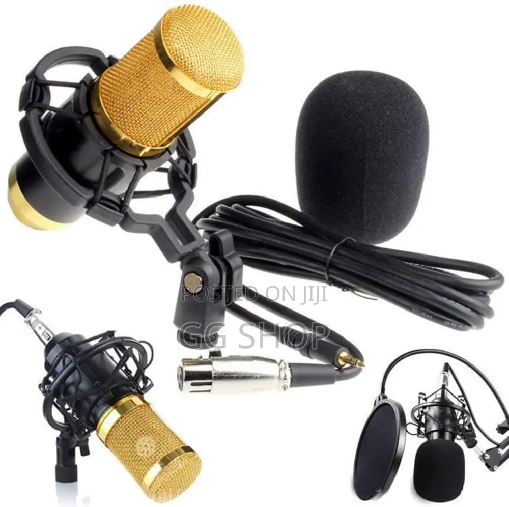 Professional Condenser Microphone