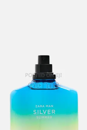 Zara Man Silver Summer
