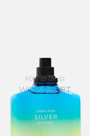 Zara Man Silver Summer