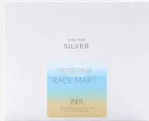Photo - Zara Man Silver Summer