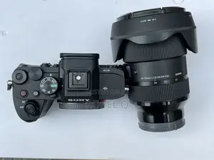 Sony Alpha 7 Iv With Sigma 24-70mm F2.8 Art Lens