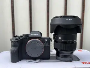Photo - Sony Alpha 7 Iv With Sigma 24-70mm F2.8 Art Lens