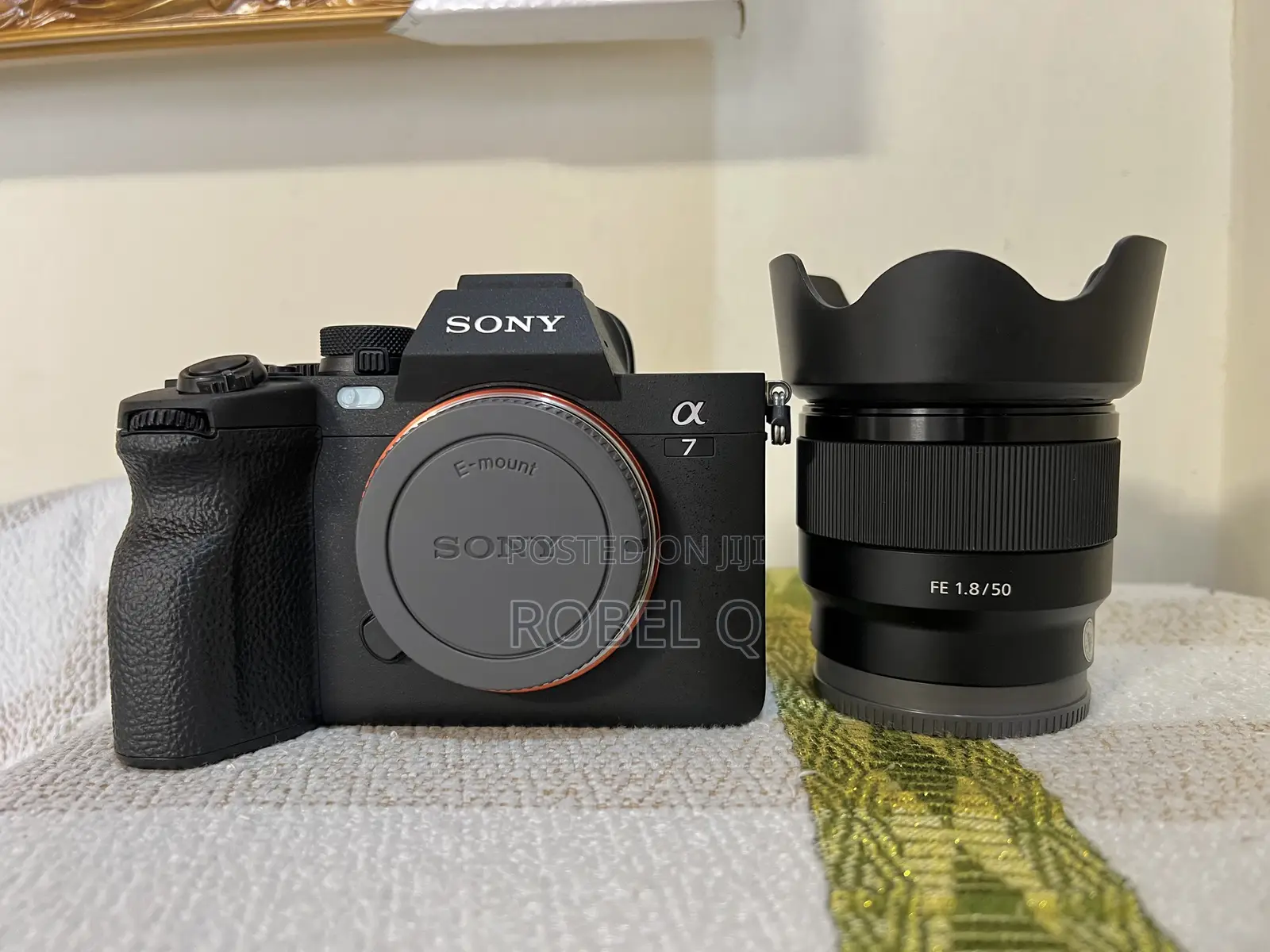 Sony Alpha 7 Iv With 50mm F1.8 Prime Lens