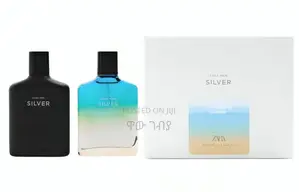 Photo - Zara Man Silver