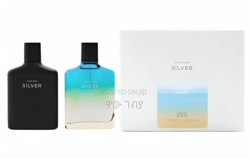 Zara Man Silver