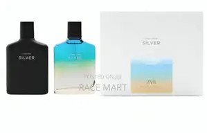Photo - Zara Man Silver