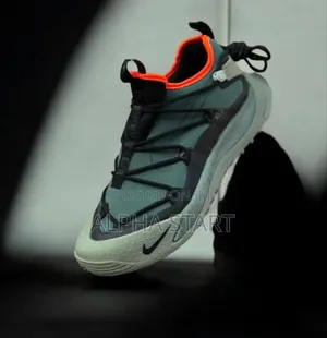 Photo - Og Nike Acg Air Terra Antarktik GTX Low Top ‘Juniper Fog’ Me