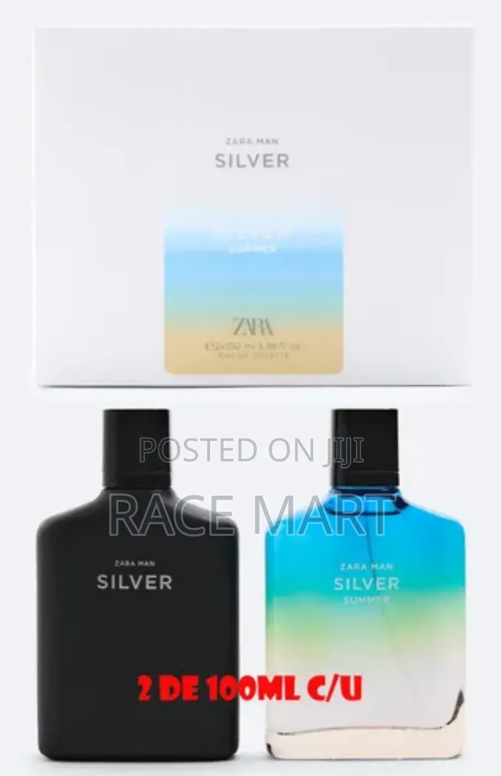 Zara Man Silver