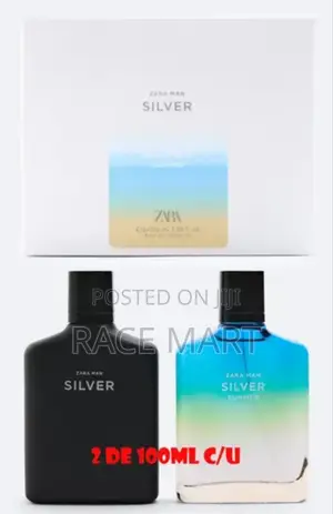 Zara Man Silver