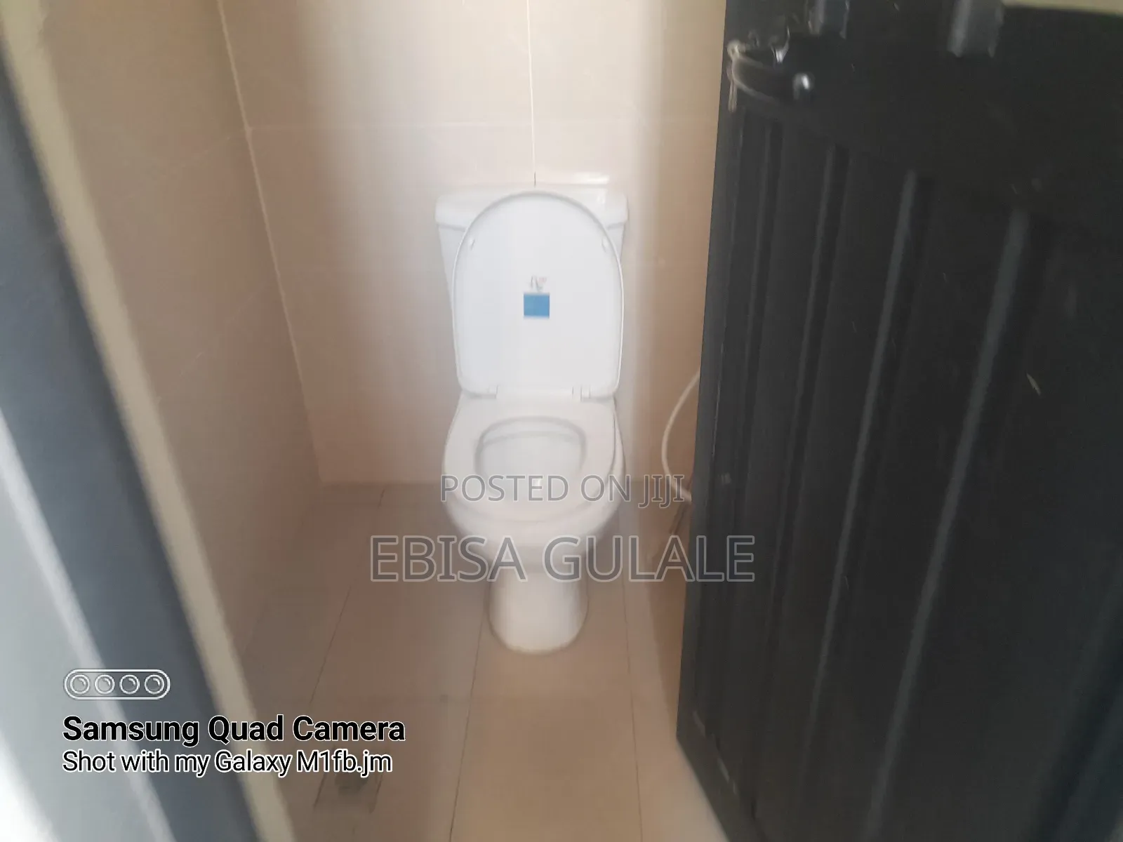 Furnished 4bdrm Farm House in Oromia-Finfinne for rent