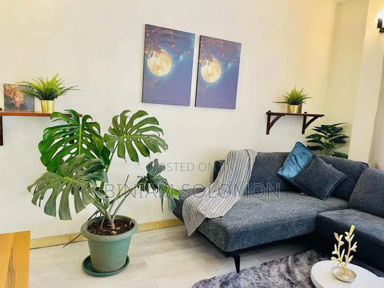 Furnished 3bdrm Apartment in Bole for sale