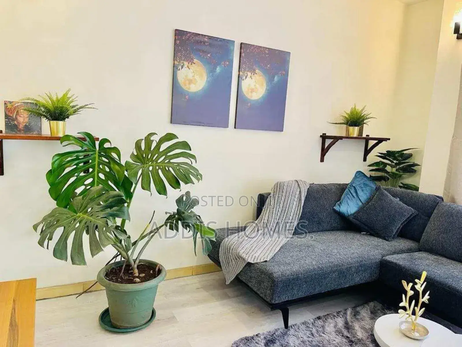 Furnished 3bdrm Apartment in Bole for sale