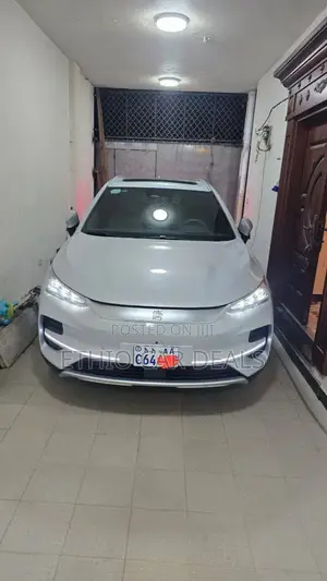BYD Tang DM-i 2024 White