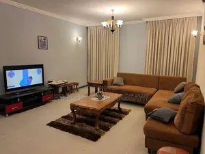 Furnished 5bdrm House in G+1, Yeka for rent