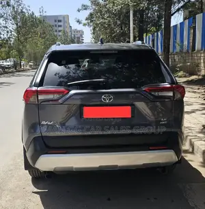 Toyota RAV4 2019 Gray