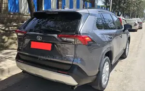 Toyota RAV4 2019 Gray