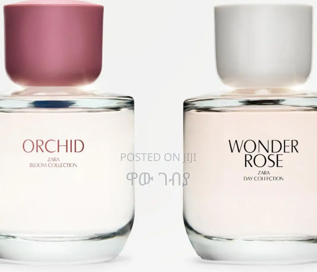 Zara’S Orchid Wonder Rose**
