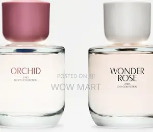 Zara’S Orchid Wonder Rose**