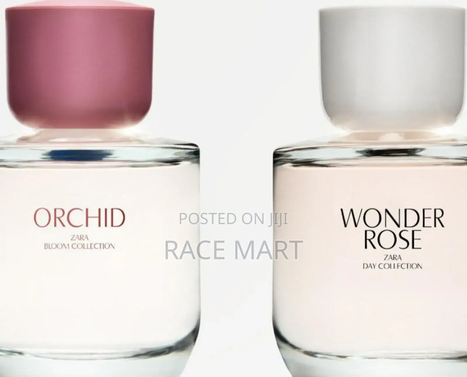 Zara’S Orchid Wonder Rose**