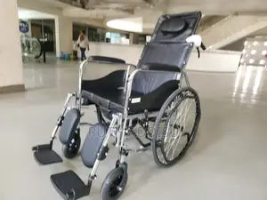 Wheelchair與國wheelchair去過wheelchair鋊瓶wheelchair骨髓wheelchair