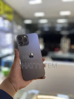 Apple iPhone 13 Pro Max 256 GB Gray