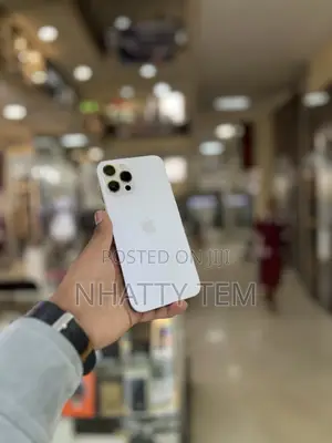 Photo - Apple iPhone 12 Pro Max 128 GB Silver