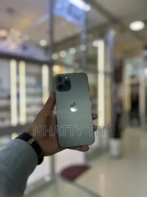 Apple iPhone 11 Pro Max 256 GB Gray