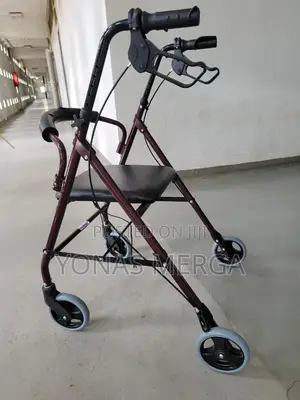 Photo - Walker燈ظwalker|Under Seat Storage, 8" Wheels亞padded Backrest
