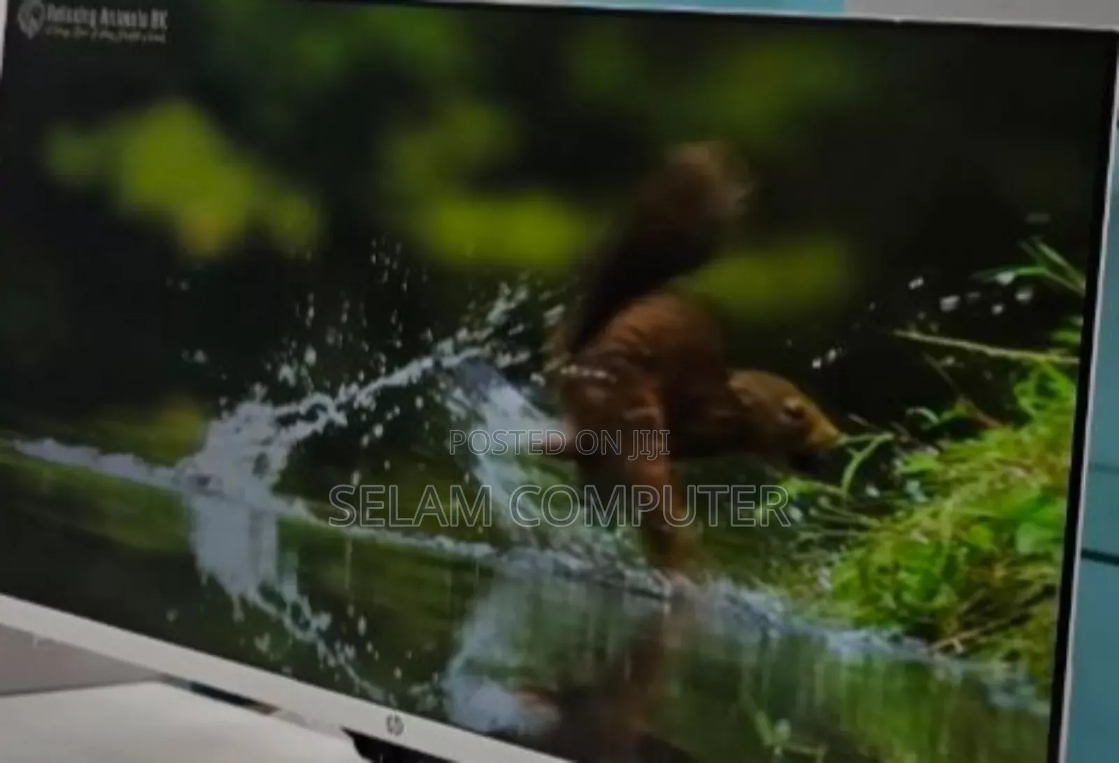 Hp Series 5 Monitor – 23.8” FHD Sleek, Styli