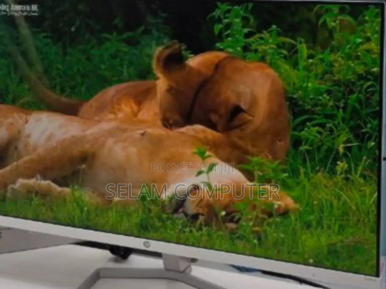 Hp Series 5 Monitor – 23.8” FHD Sleek, Styli