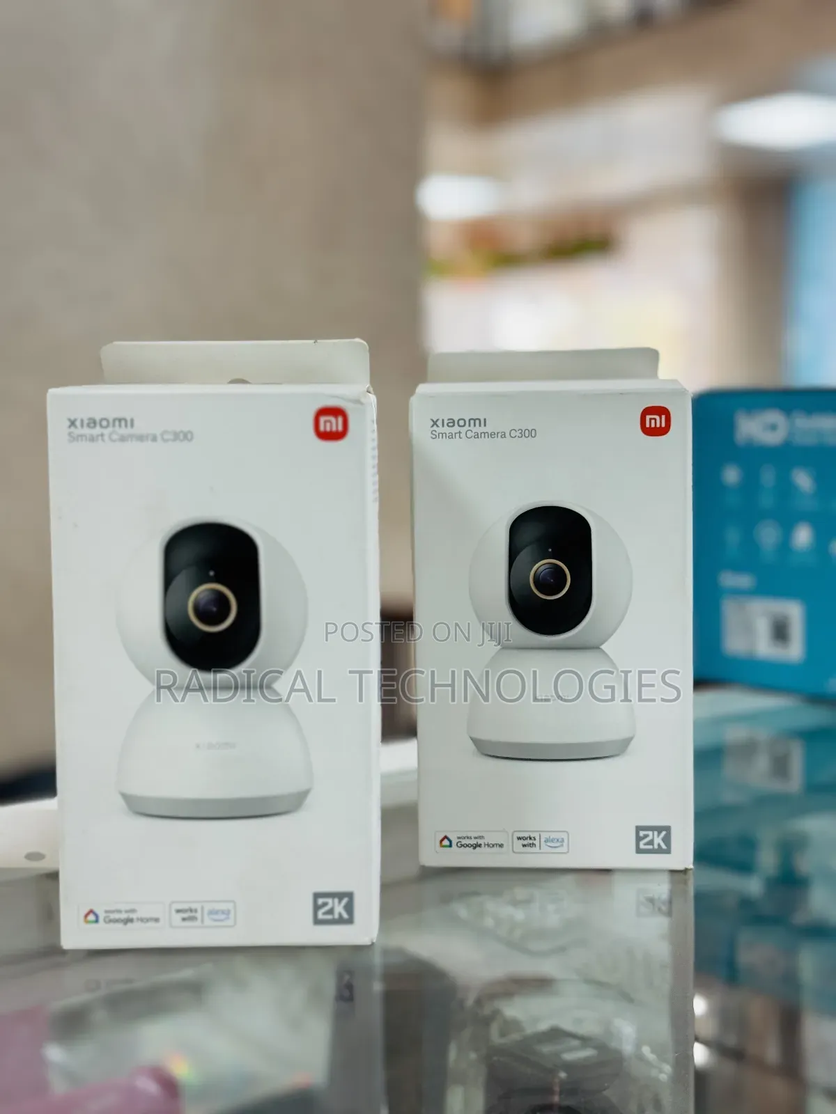 Xiaomi Smart Camera C300
