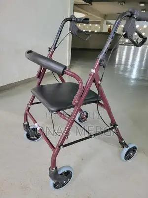 Photo - Walker||Walker Just at the Desired Moment and Without Effort