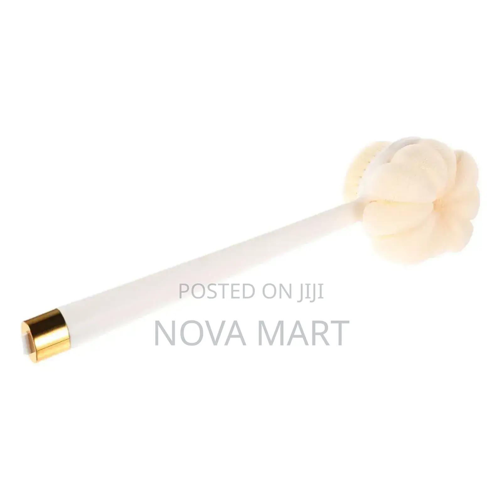 2in1 Long Handled Bath Brush